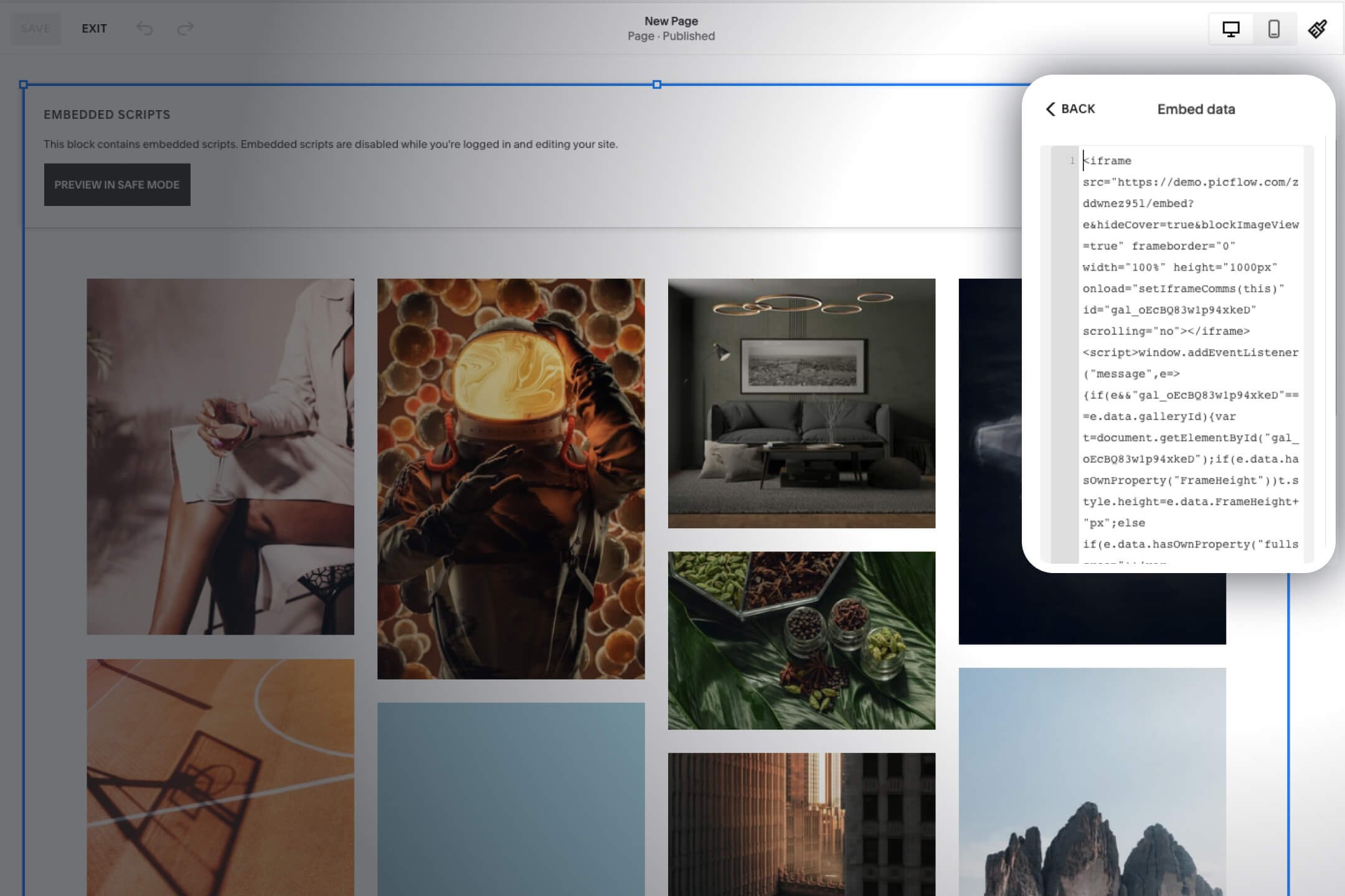 How to Embed a Photo Gallery on Squarespace?