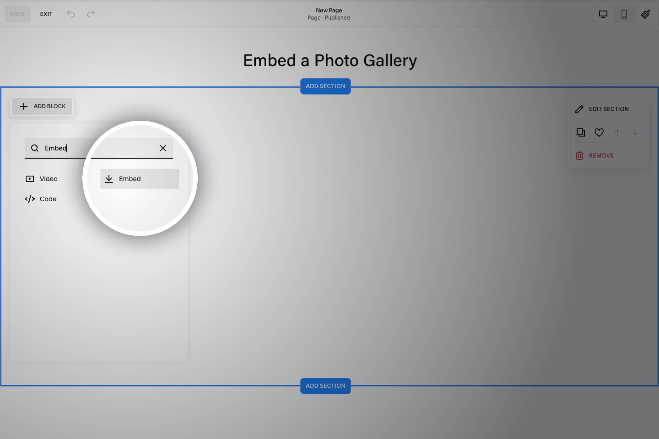 How to Embed a Photo Gallery on Squarespace?